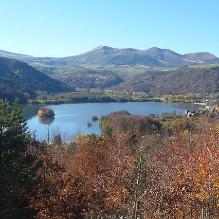 Les Chenets Villa Chambon-sur-Lac Dış mekan fotoğraf