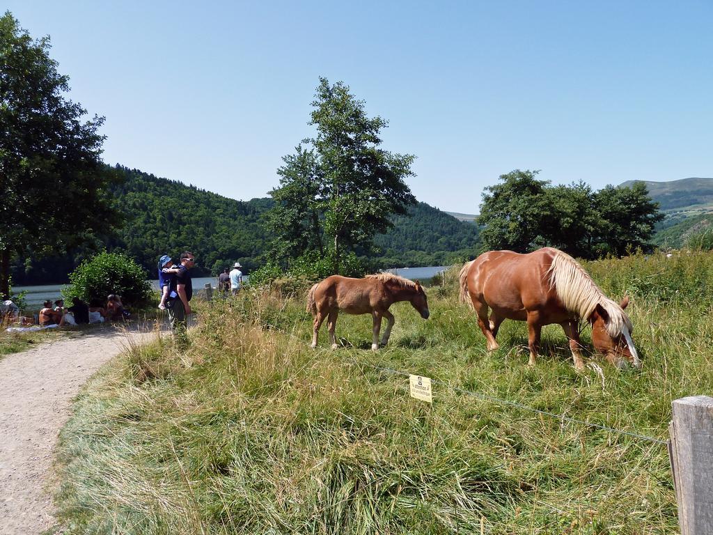 Les Chenets Villa Chambon-sur-Lac Dış mekan fotoğraf