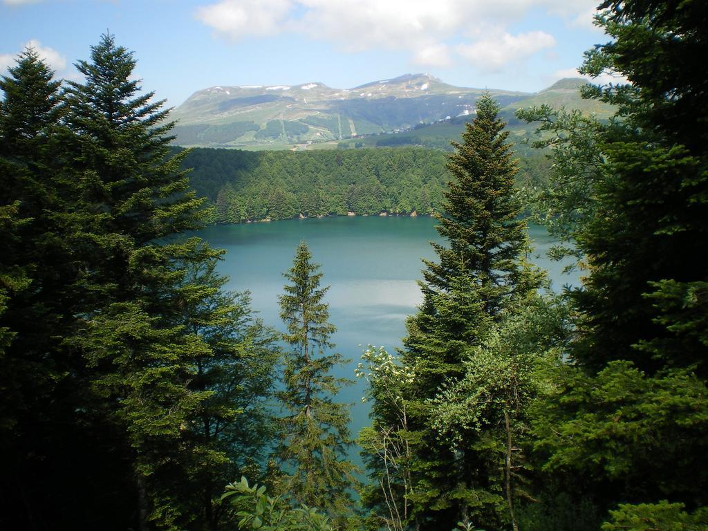 Les Chenets Villa Chambon-sur-Lac Dış mekan fotoğraf